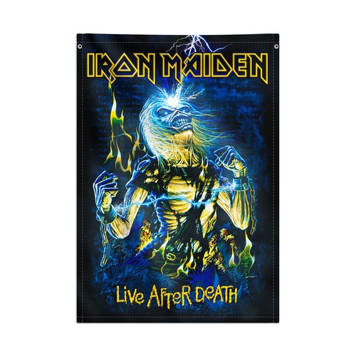 Grupo erik wall scroll - erik:, iron